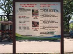 -永定河休闲森林公园