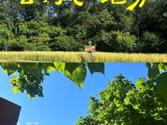 -沈阳植物园