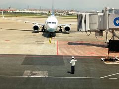 -厦门高崎国际机场-T3航站楼