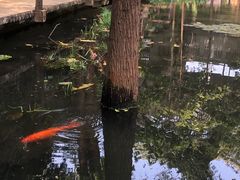 -广州兰圃