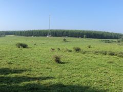 -塞罕坝国家级自然保护区