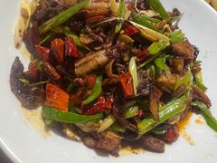 -柴窝堡22号辣子鸡·传承新疆菜