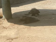 -昆明动物园