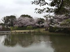 -苏州吴中太湖旅游区