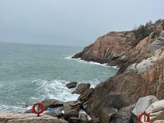 -广东惠东海龟国家级自然保护区