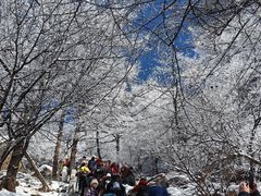 -崂山巨峰游览区