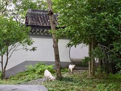 -上海佘山国家森林公园天马山园