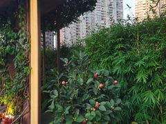 -御彩酒家(东风东路店)