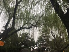 -西安青龙寺遗址景区