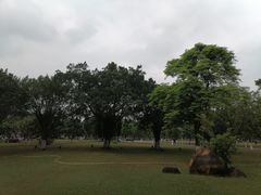 -万绿园