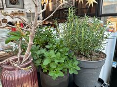 -北马山庄植趣咖啡