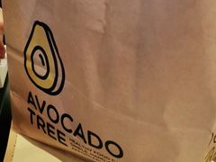 -油梨树AVOCADO TREE(嘉里中心店)