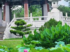 -惠州西湖丰渚园