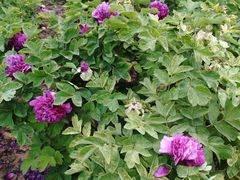 -河南省黄河迎宾馆