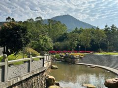 -黄埔油麻山森林公园