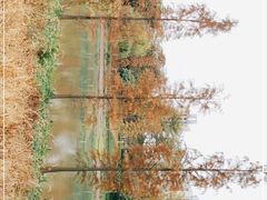 -怡海公园(桂城街道)