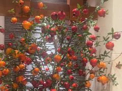 -诺筵汤品·菌汤火锅(南河坝店)