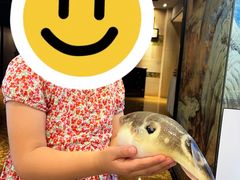 -肆月河豚·淮扬菜·湘菜(华天店)