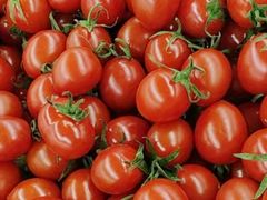 -大连熟食品交易中心