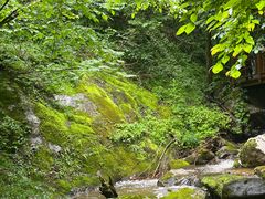 -青峰峡国家森林公园