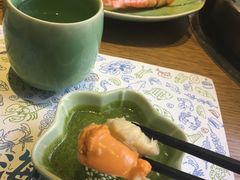 -海桐