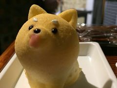 -柴犬高等学院·狗咖·柴犬售卖·宠物训练