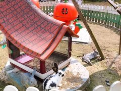 -黄龙溪欢乐田园