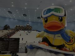 -广州热雪奇迹