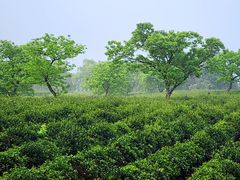 -敬亭山风景名胜区