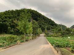 -鹿亭中村