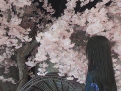 -汤里来温泉