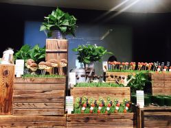 主题茶歇-嘉兴希尔顿逸林酒店·宴会厅