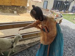 -HERRE·FARM 赫尔露营农场·团建聚会包场