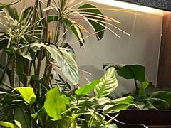 -永旺梦乐城(经开店)