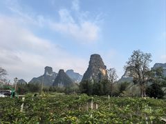 -明仕田园