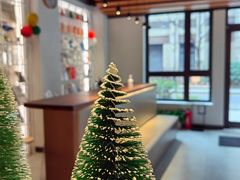 -齐玉齿科JADENTAL