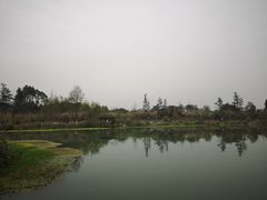 -桤木河湿地公园