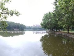 -三水森林公园