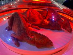-侏罗纪世界电影特展(广州站)