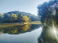 -秦岭风景区