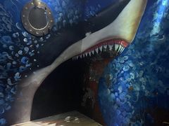 -贝壳梦幻世界