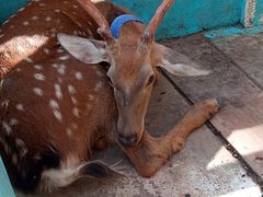 -华谊兄弟（长沙）电影小镇