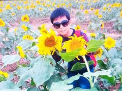 -武汉紫薇都市田园