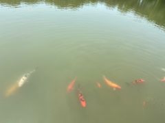 -宝岩生态观光园