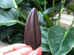 -利顺德大饭店·维多利亚花园(小白楼店)