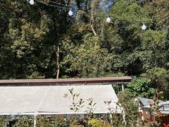 -她说户外烧烤团建(西湖店)