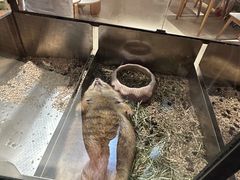 -瑞虹新天地月亮湾