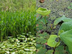 -东钱湖旅游度假区