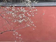-钱王祠