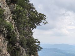 -帽儿山风景区